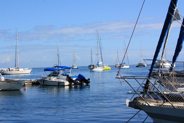 [IMG_65091280x8534.jpg]