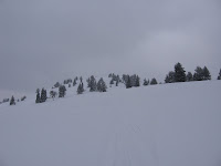 IMG_3234.JPG