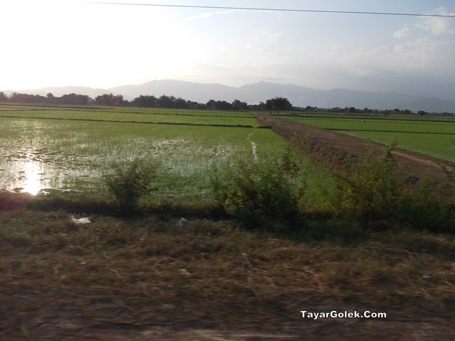 [DSCN20542.jpg]