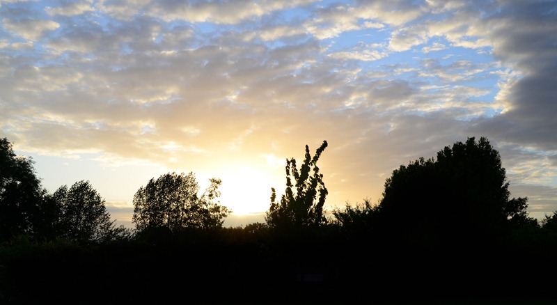 [chateau%252059%255B3%255D.jpg]