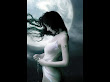 Moon Forever