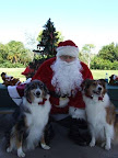 Susan W. shared this photo of Shadow Dancer and Princess Belle with Santa.  They love to go for long walks and chase ducks in the lake!