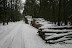  Winterhike: Fotos & Videos