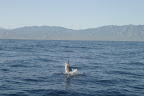 IMG_9179.jpg