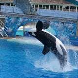 Sea World 2010