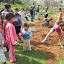 Tree Planting at Walaje'