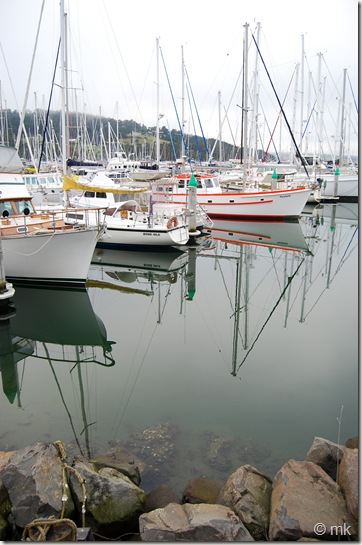 DSC_0995 DSC_0995