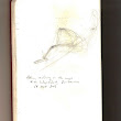 awvfts tour sketches -  san francisco.jpg