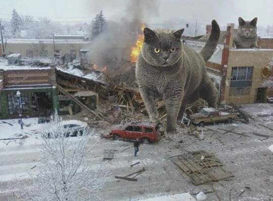 [viral-picdump-pics-30%255B2%255D.jpg]