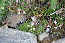 example2