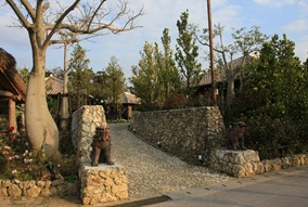 IMG_6743 IMG_6743