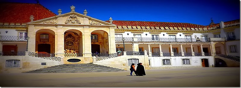 P1080936 P1080936