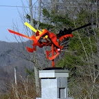 CIMG2012.JPG