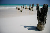 Poles on the beach