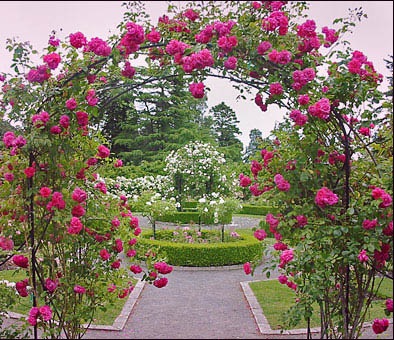 [Heaven%2520Gate%255B8%255D.jpg]
