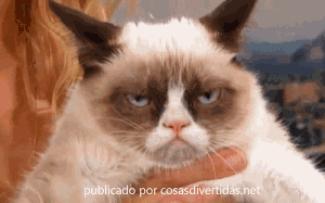 gato gruñon gato gruñon