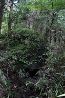 DSC00043.JPG Photo
