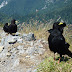 2011.07.10. - M&M na Dovški Babi