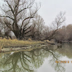 IMG_1552.JPG