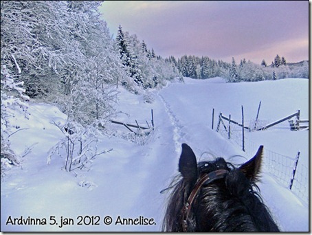 2012-ardvinna5jan_04