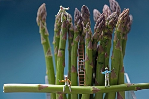 asparagus cleaners asparagus cleaners