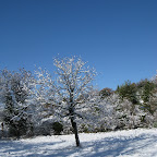 2011-12-20 (10).jpg