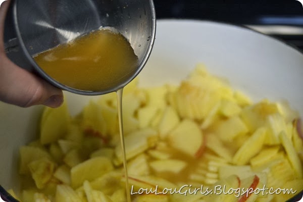 Homemade-Applesauce-Recipe (11)