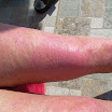 DSCN0728.JPG