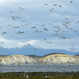 Chile - WilsonAdam_20110113_4088.jpg