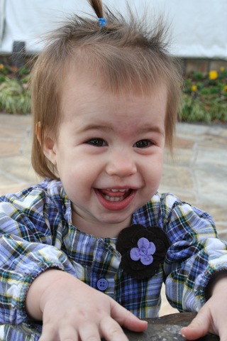 [IMG_0164%255B2%255D.jpg]