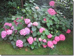 IMG_7894 IMG_7894