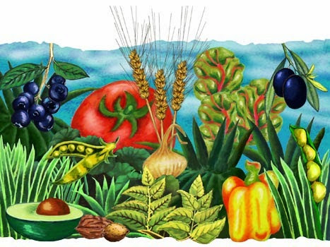 Verdure e frutta, semi e legumi (disegno)