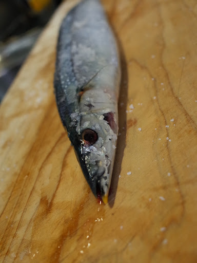 20130907130909.jpg