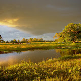 Pantanal