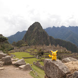 P5273337.JPG