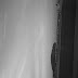 R0028310.JPG