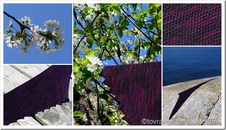 wollmeise verhext und verratzt Morelltre i full blomst