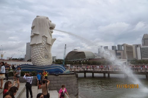 IMG_1440.jpg IMG 1440