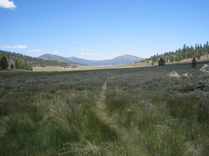 [IMG_44593.jpg]