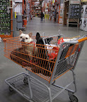 We LOVE The Home Depot - it is a great place to shop!!!