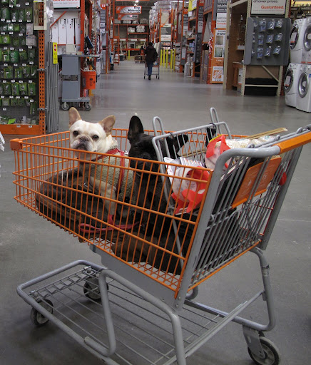 We LOVE The Home Depot - it is a great place to shop!!!