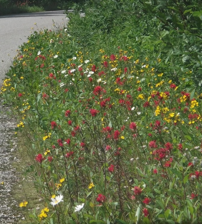 [DSCF06255.jpg]
