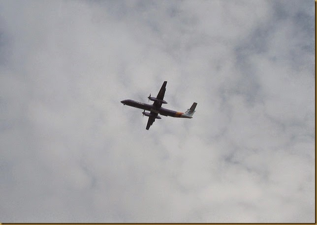 IMG_1883 IMG_1883