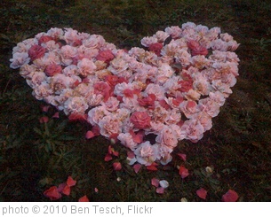 'Heart of flowers' photo (c) 2010, Ben Tesch - license: http://creativecommons.org/licenses/by/2.0/