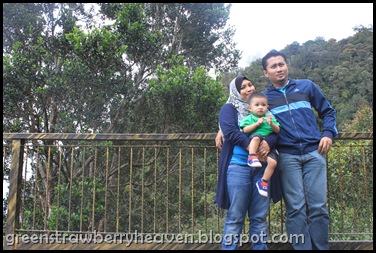 IMG_7346 IMG_7346