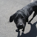 DSCN4673.jpg