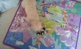 2011-12-27 10.33.03.jpg