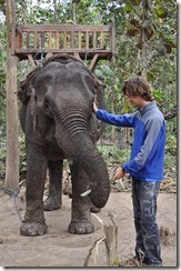Laos Luang Prabang Elephant mahout course 140202_0088