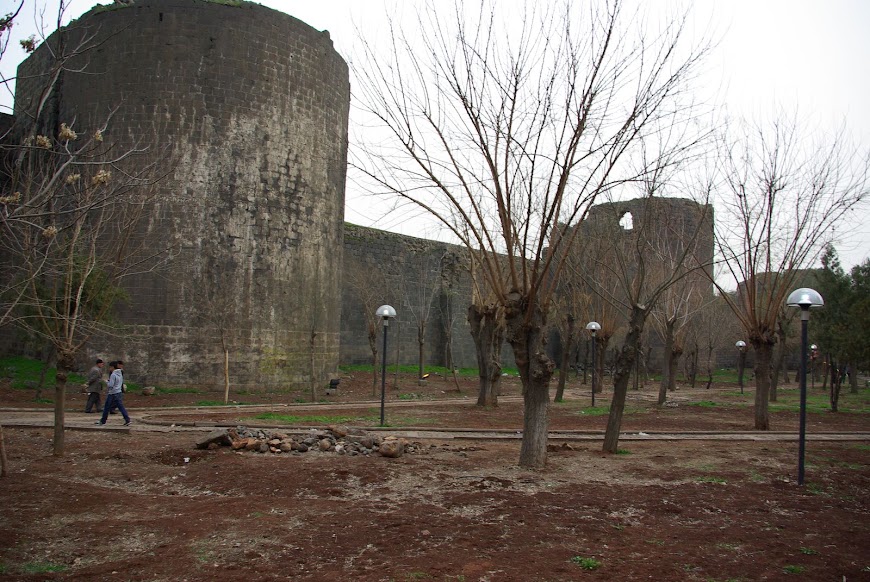 IMGP3241.JPG