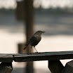 20080713_IMG_6242.jpg